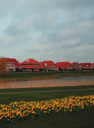 Dronten